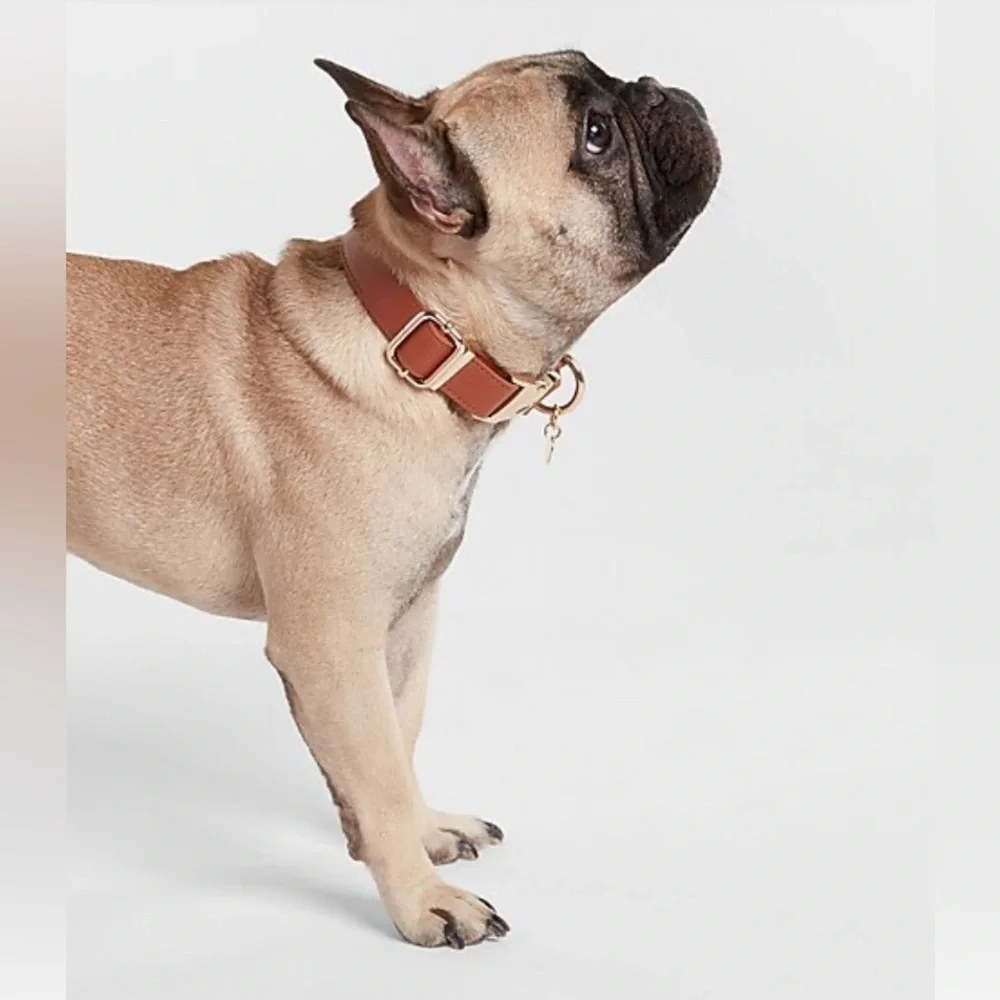 Express Tan Faux Leather XS Dog Collar- NWT